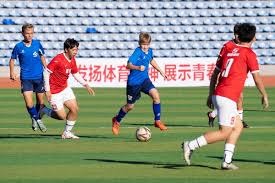 狼队解雇主帅爱德华兹背后的深层原因解析